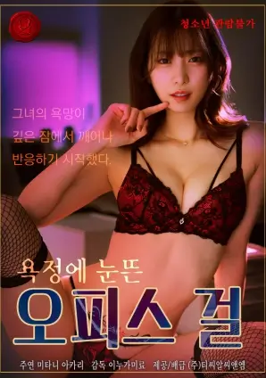 夜航西飞全集免费观看电视剧